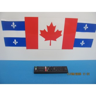 SONY XBR-55X800E REMOTE CONTROL ORIGINAL