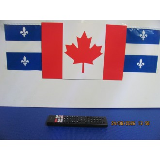 HISENSE 50A60GV REMOTE CONTROL RECYCLÉ